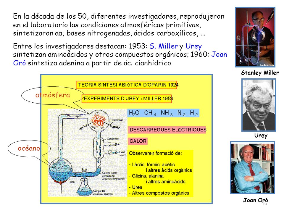 En la década de los 50, diferentes investigadores, reprodujeron en el laboratorio las condiciones atmosféricas primitivas, sintetizaron aa, bases nitrogenadas, ácidos carboxílicos, ...