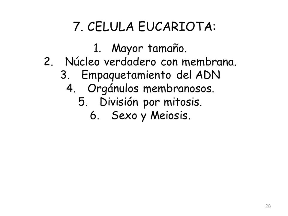 7. CELULA EUCARIOTA: Mayor tamaño. Núcleo verdadero con membrana.