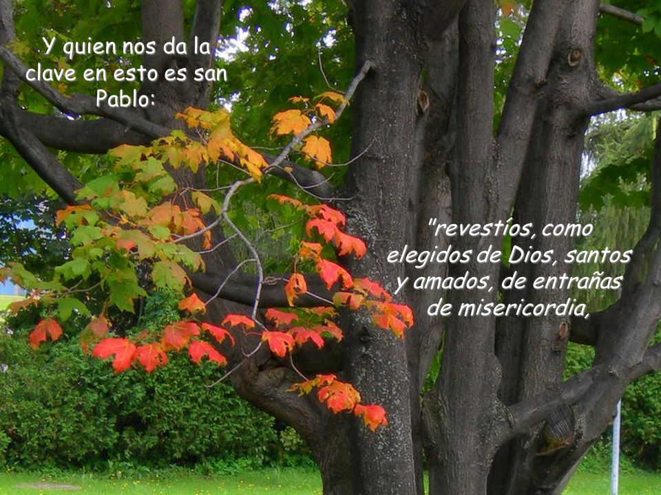 Y quien nos da la clave en esto es san Pablo: