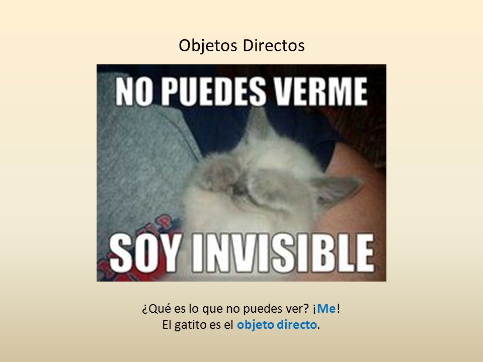 Objetos Directos ¿Qué es lo que no puedes ver ¡Me!