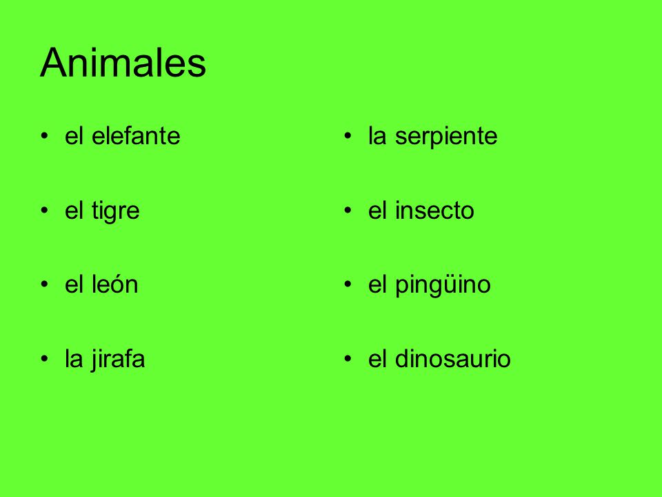 Animales el elefante el tigre el león la jirafa la serpiente