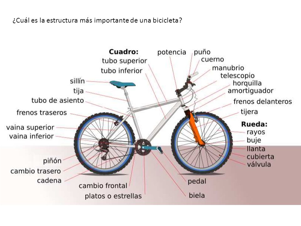 ¿Cuál es la estructura más importante de una bicicleta