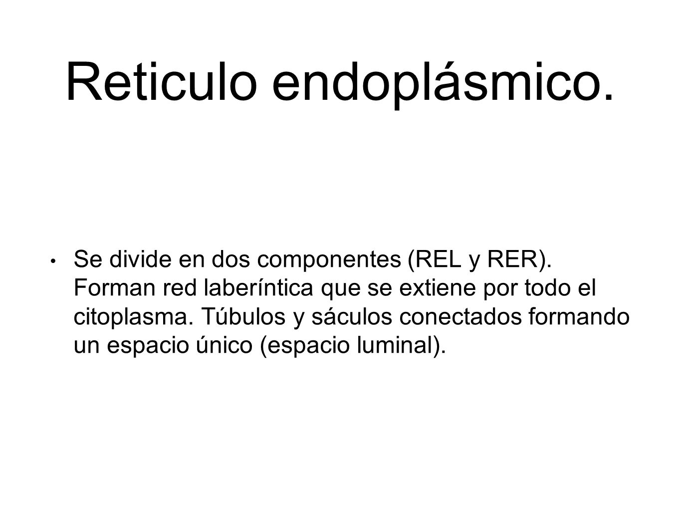 Reticulo endoplásmico.