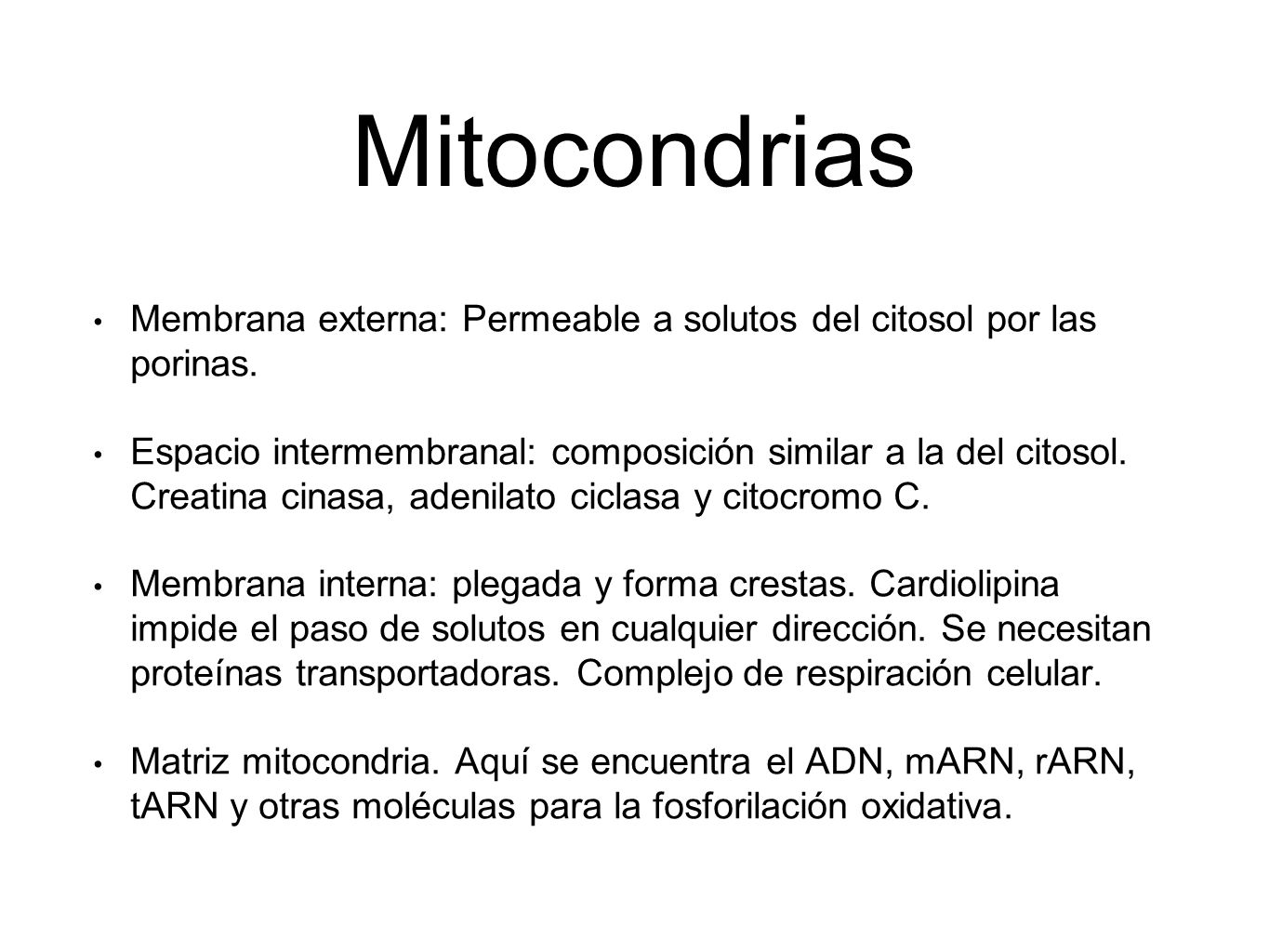 Mitocondrias Membrana externa: Permeable a solutos del citosol por las porinas.