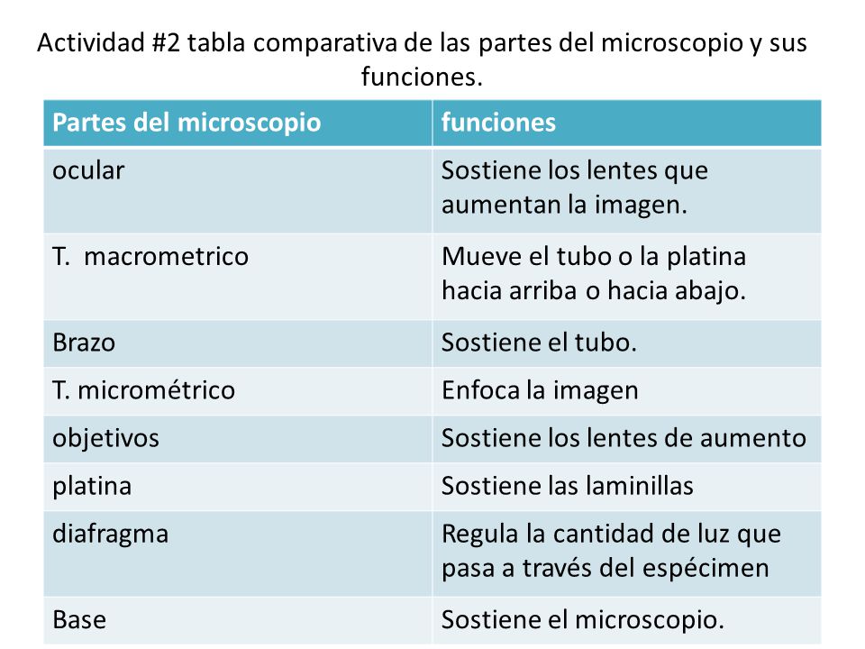 Actividad #2 tabla comparativa de las partes del microscopio y sus funciones.