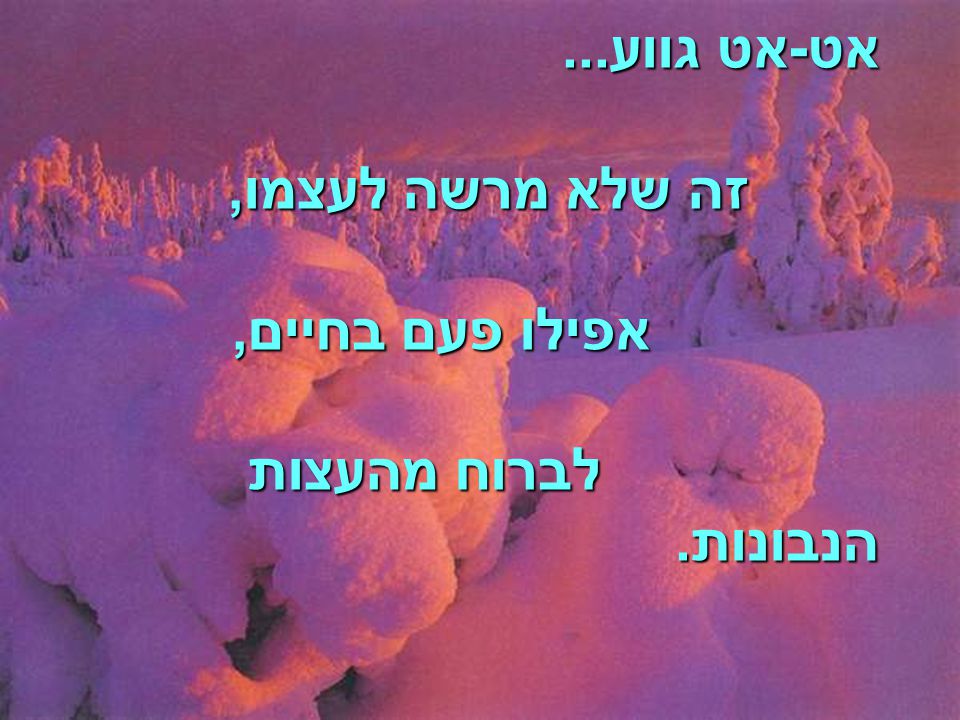 אט-אט גווע... זה שלא מרשה לעצמו, אפילו פעם בחיים, לברוח מהעצות הנבונות.