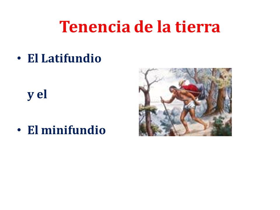 Tenencia de la tierra El Latifundio y el El minifundio