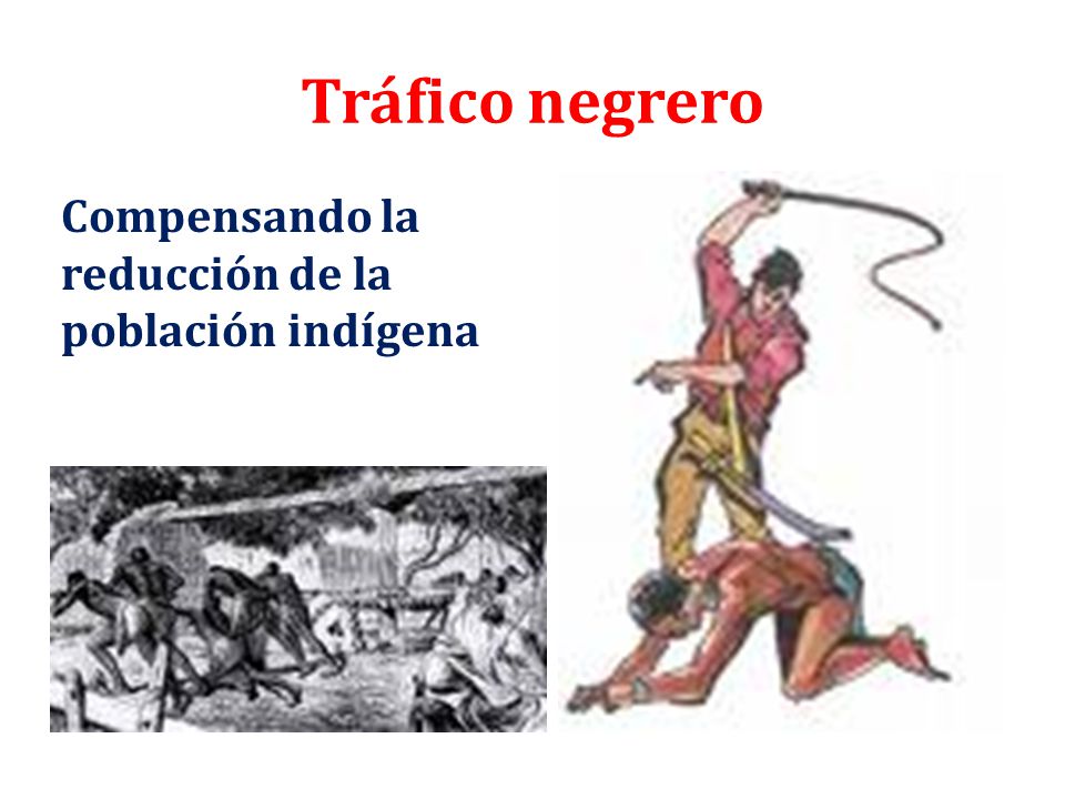 Tráfico negrero Compensando la reducción de la población indígena
