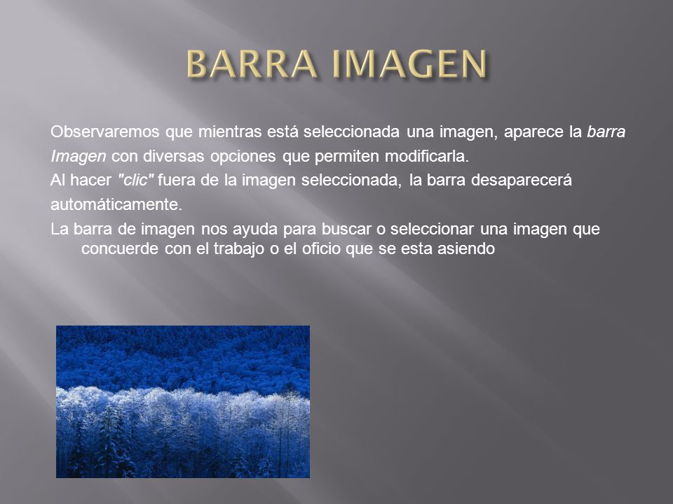BARRA IMAGEN Observaremos que mientras está seleccionada una imagen, aparece la barra. Imagen con diversas opciones que permiten modificarla.