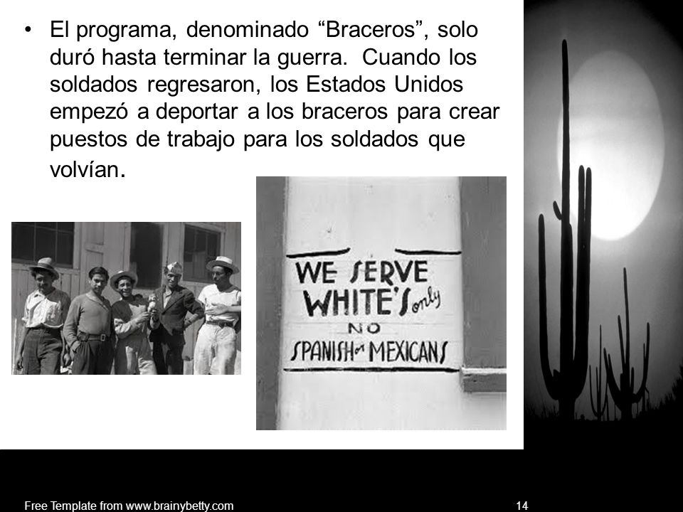 El programa, denominado Braceros , solo duró hasta terminar la guerra