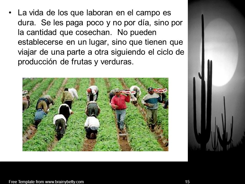 La vida de los que laboran en el campo es dura