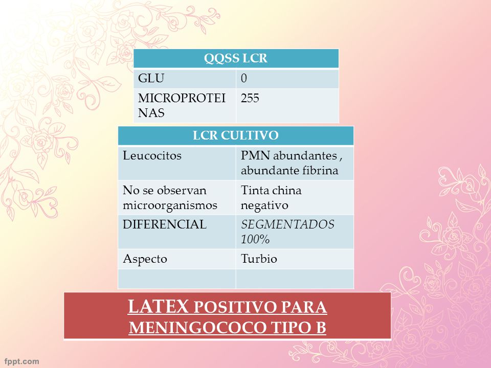 LATEX POSITIVO PARA MENINGOCOCO TIPO B