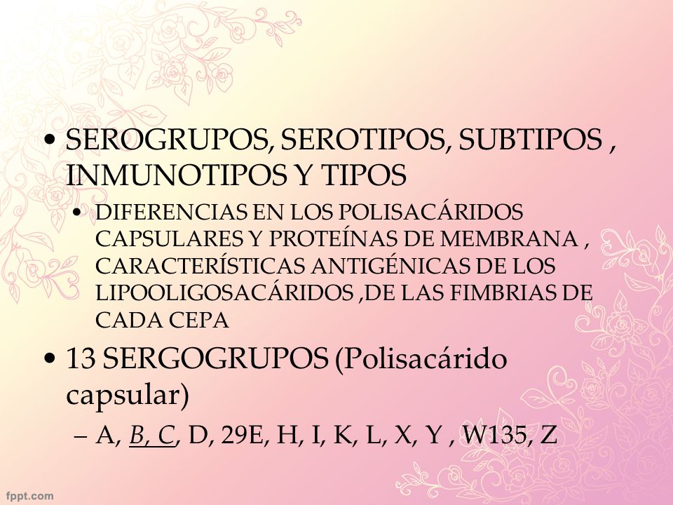 SEROGRUPOS, SEROTIPOS, SUBTIPOS , INMUNOTIPOS Y TIPOS