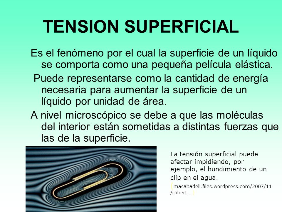 TENSION SUPERFICIAL Es el fenómeno por el cual la superficie de un líquido se comporta como una pequeña película elástica.