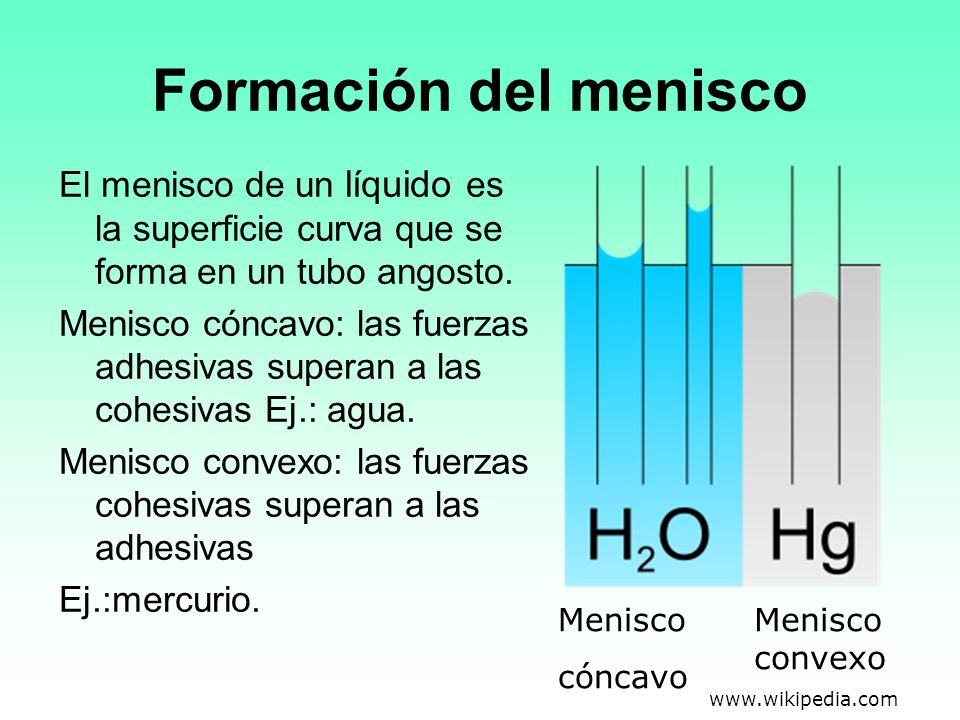 Formación del menisco El menisco de un líquido es la superficie curva que se forma en un tubo angosto.