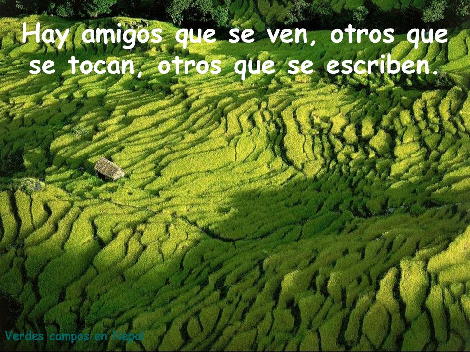 Hay amigos que se ven, otros que se tocan, otros que se escriben.