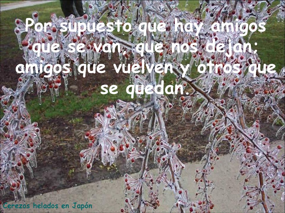 Por supuesto que hay amigos que se van, que nos dejan; amigos que vuelven y otros que se quedan.
