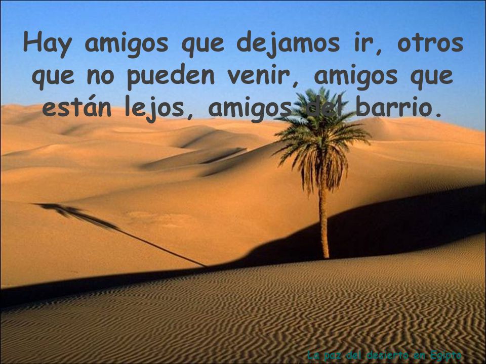 Hay amigos que dejamos ir, otros que no pueden venir, amigos que están lejos, amigos del barrio.