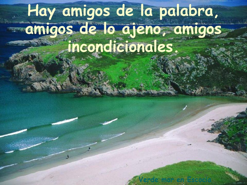Hay amigos de la palabra, amigos de lo ajeno, amigos incondicionales.