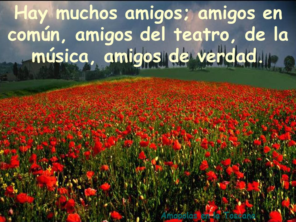 Hay muchos amigos; amigos en común, amigos del teatro, de la música, amigos de verdad.