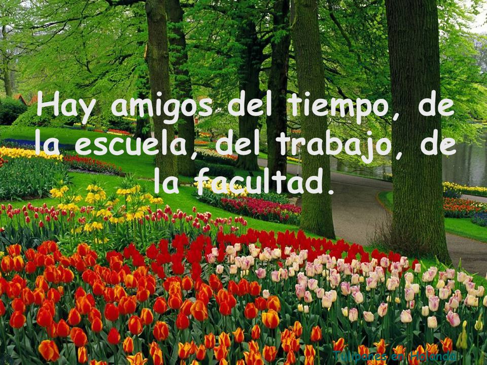 Hay amigos del tiempo, de la escuela, del trabajo, de la facultad.