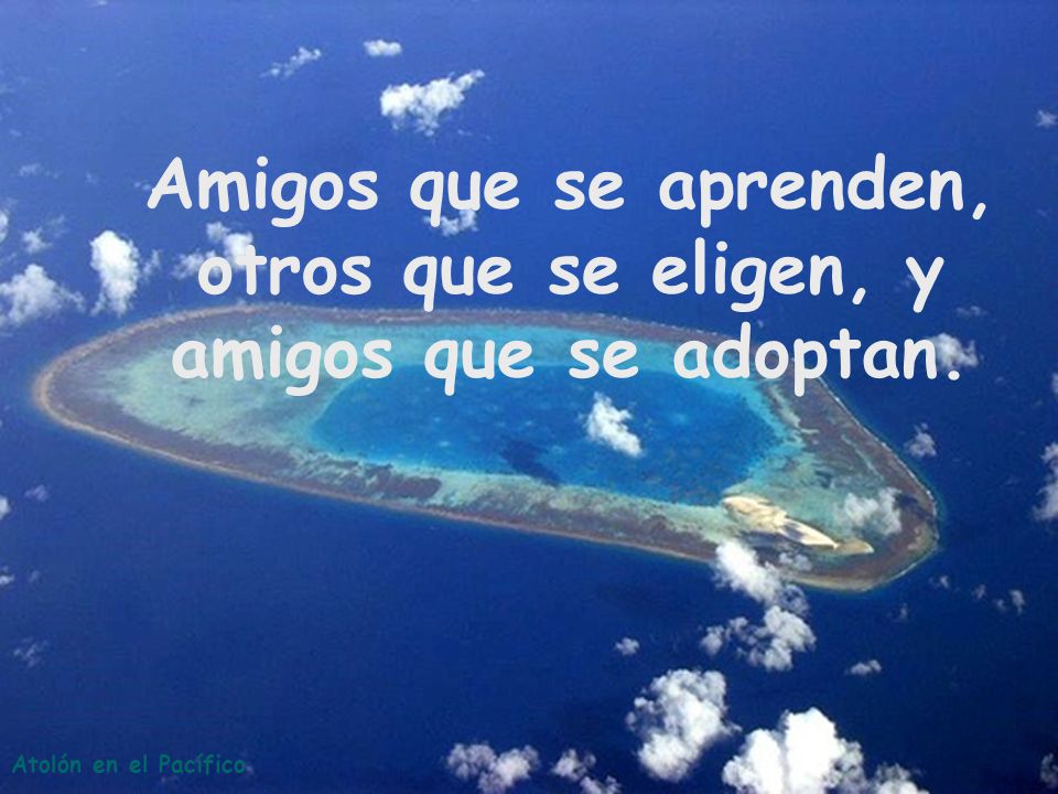 Amigos que se aprenden, otros que se eligen, y amigos que se adoptan.