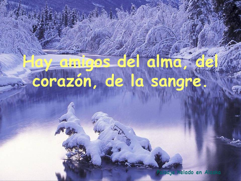 Hay amigos del alma, del corazón, de la sangre.