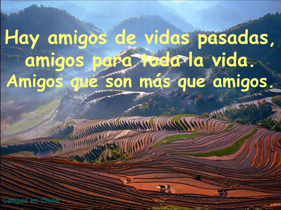 Hay amigos de vidas pasadas, amigos para toda la vida