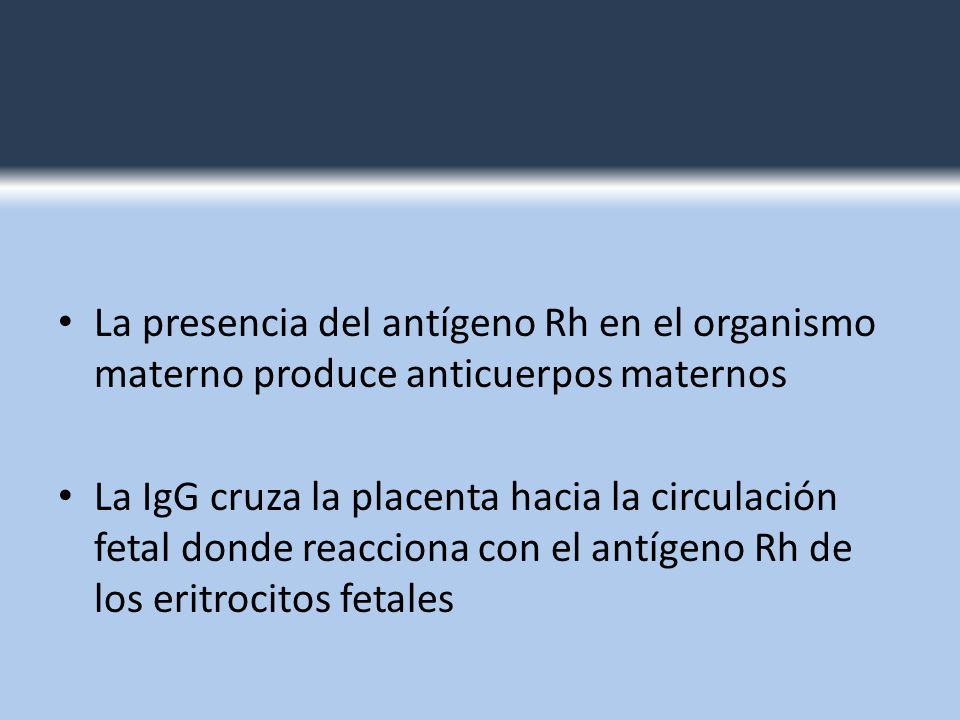La presencia del antígeno Rh en el organismo materno produce anticuerpos maternos