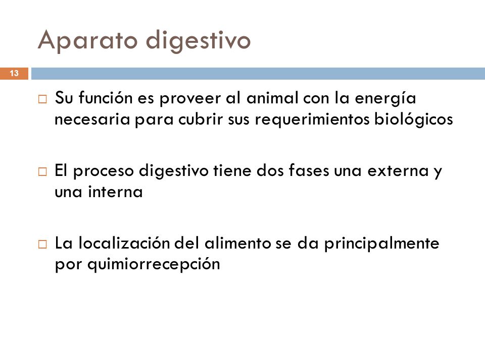 Aparato digestivo Su función es proveer al animal con la energía necesaria para cubrir sus requerimientos biológicos.
