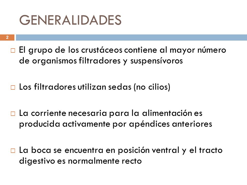 GENERALIDADES El grupo de los crustáceos contiene al mayor número de organismos filtradores y suspensívoros.
