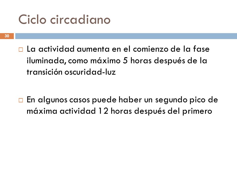 Ciclo circadiano La actividad aumenta en el comienzo de la fase iluminada, como máximo 5 horas después de la transición oscuridad-luz.