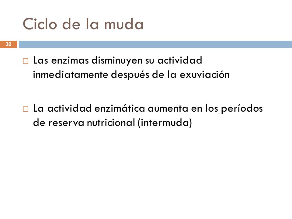 Ciclo de la muda Las enzimas disminuyen su actividad inmediatamente después de la exuviación.