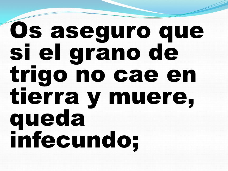 Os aseguro que si el grano de trigo no cae en tierra y muere, queda infecundo;