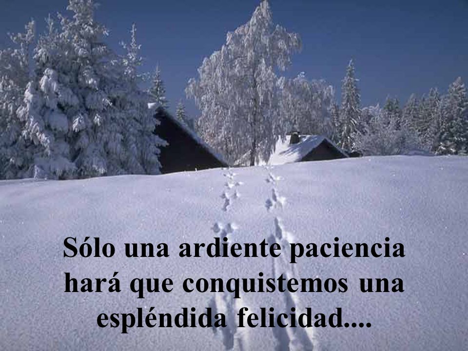 Sólo una ardiente paciencia hará que conquistemos una espléndida felicidad....