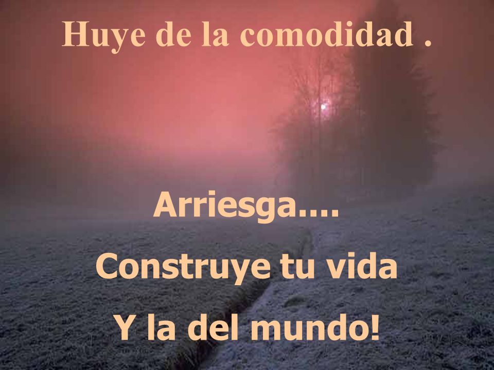 Huye de la comodidad . Arriesga.... Construye tu vida Y la del mundo!
