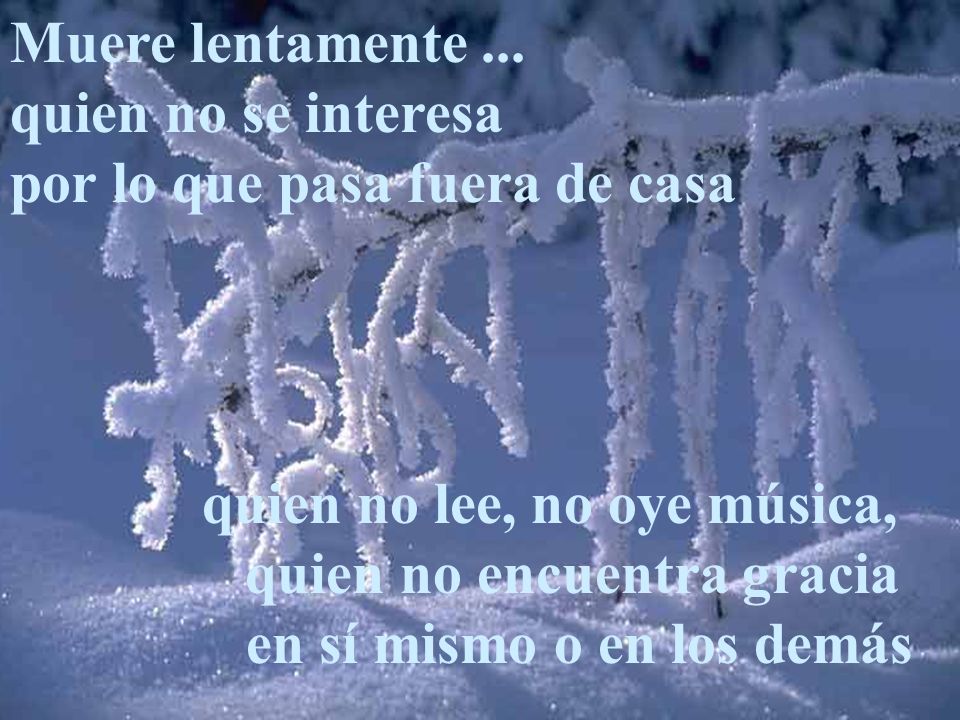 Muere lentamente ... quien no se interesa por lo que pasa fuera de casa
