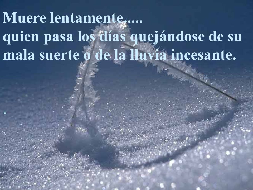 Muere lentamente..... quien pasa los días quejándose de su mala suerte o de la lluvia incesante.