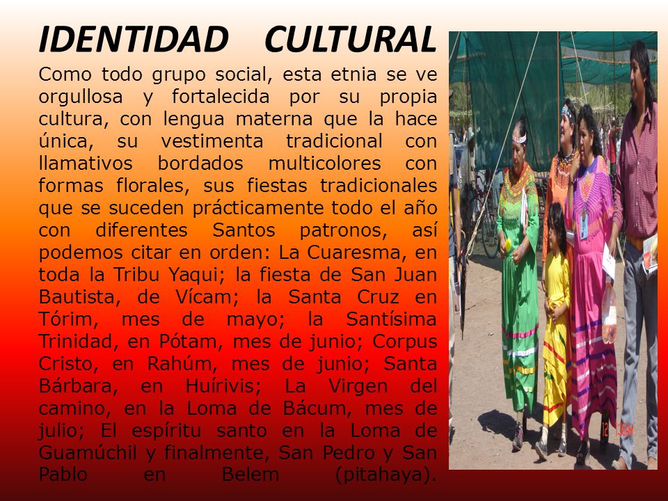 IDENTIDAD CULTURAL Como todo grupo social, esta etnia se ve orgullosa y fortalecida por su propia cultura, con lengua materna que la hace única, su vestimenta tradicional con llamativos bordados multicolores con formas florales, sus fiestas tradicionales que se suceden prácticamente todo el año con diferentes Santos patronos, así­ podemos citar en orden: La Cuaresma, en toda la Tribu Yaqui; la fiesta de San Juan Bautista, de Ví­cam; la Santa Cruz en Tórim, mes de mayo; la Santí­sima Trinidad, en Pótam, mes de junio; Corpus Cristo, en Rahúm, mes de junio; Santa Bárbara, en Huí­rivis; La Virgen del camino, en la Loma de Bácum, mes de julio; El espí­ritu santo en la Loma de Guamúchil y finalmente, San Pedro y San Pablo en Belem (pitahaya).