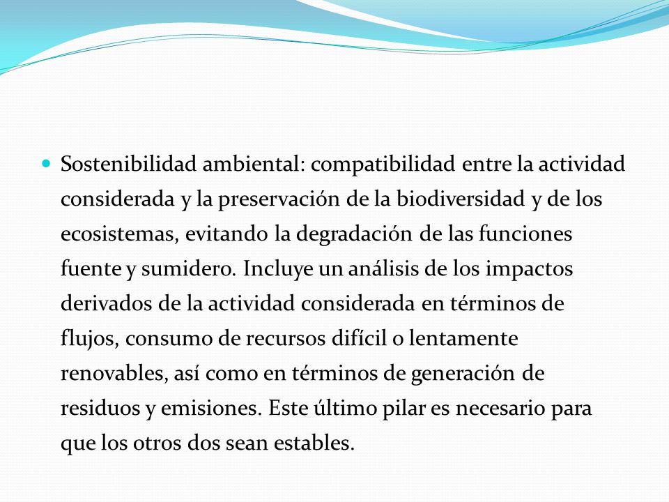 Sostenibilidad ambiental: compatibilidad entre la actividad considerada y la preservación de la biodiversidad y de los ecosistemas, evitando la degradación de las funciones fuente y sumidero.