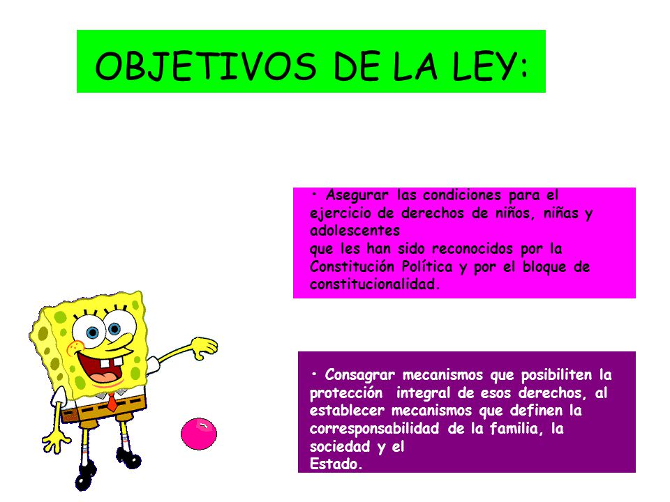 OBJETIVOS DE LA LEY: • Asegurar las condiciones para el ejercicio de derechos de niños, niñas y adolescentes.