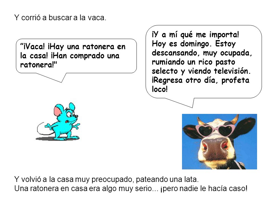 Y corrió a buscar a la vaca.