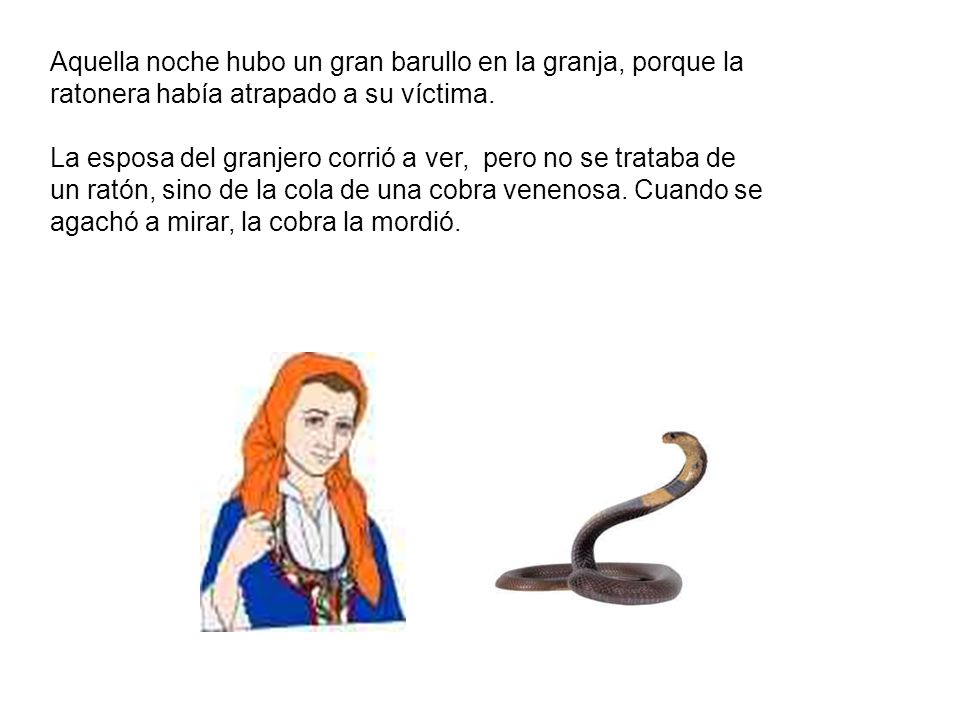 Aquella noche hubo un gran barullo en la granja, porque la ratonera había atrapado a su víctima.