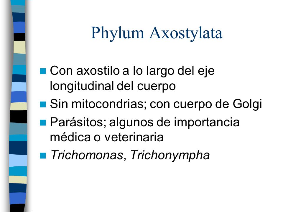Phylum Axostylata Con axostilo a lo largo del eje longitudinal del cuerpo. Sin mitocondrias; con cuerpo de Golgi.