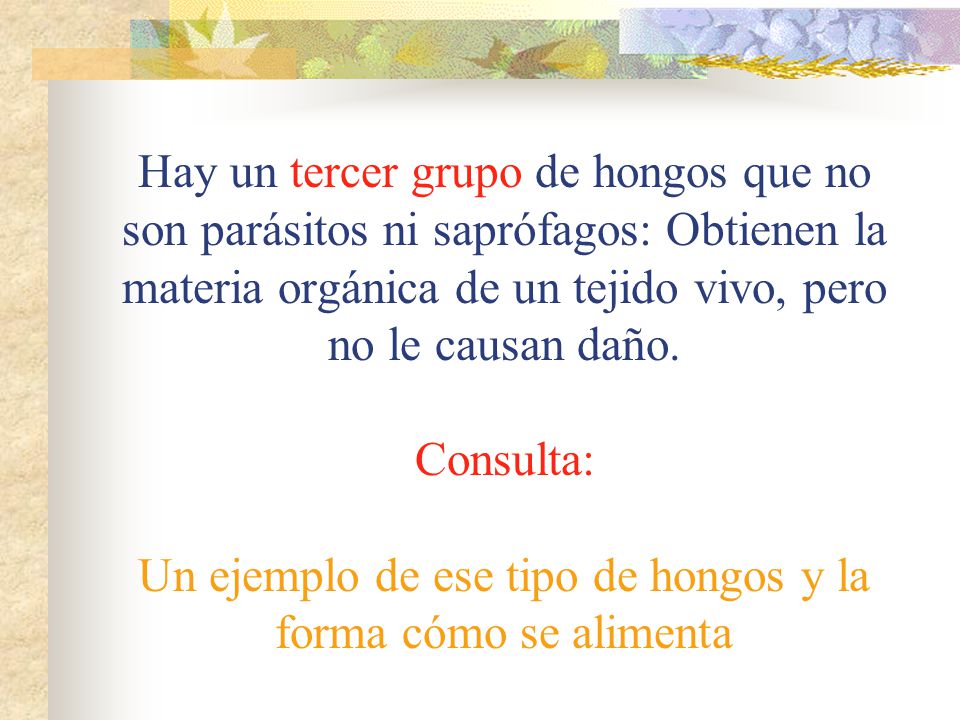 Hay un tercer grupo de hongos que no son parásitos ni saprófagos: Obtienen la materia orgánica de un tejido vivo, pero no le causan daño.