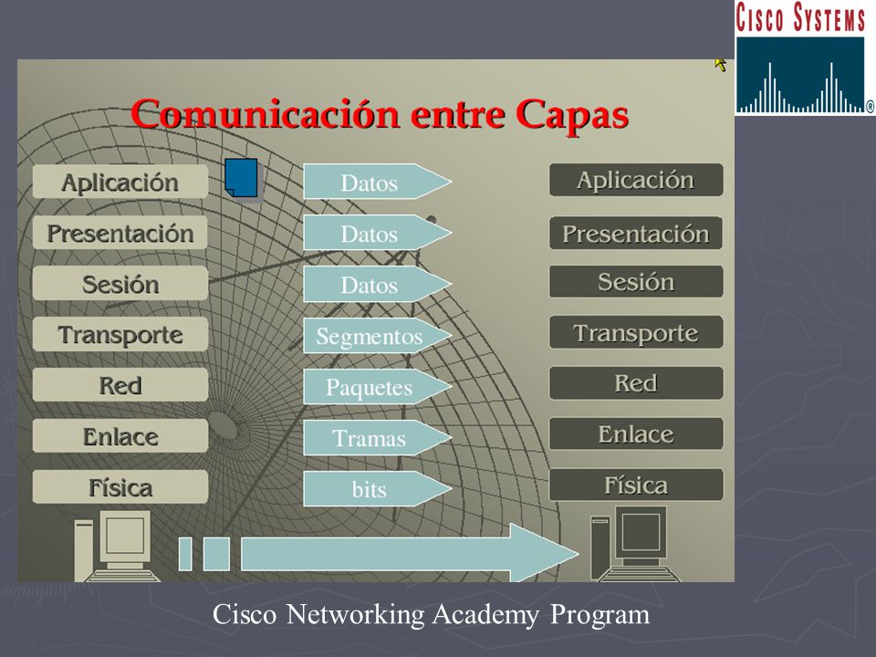 Cual es la PDU Física: bits. Red: paquetes. Enlace: tramas. Transporte: segmentos. Sesión: datos.