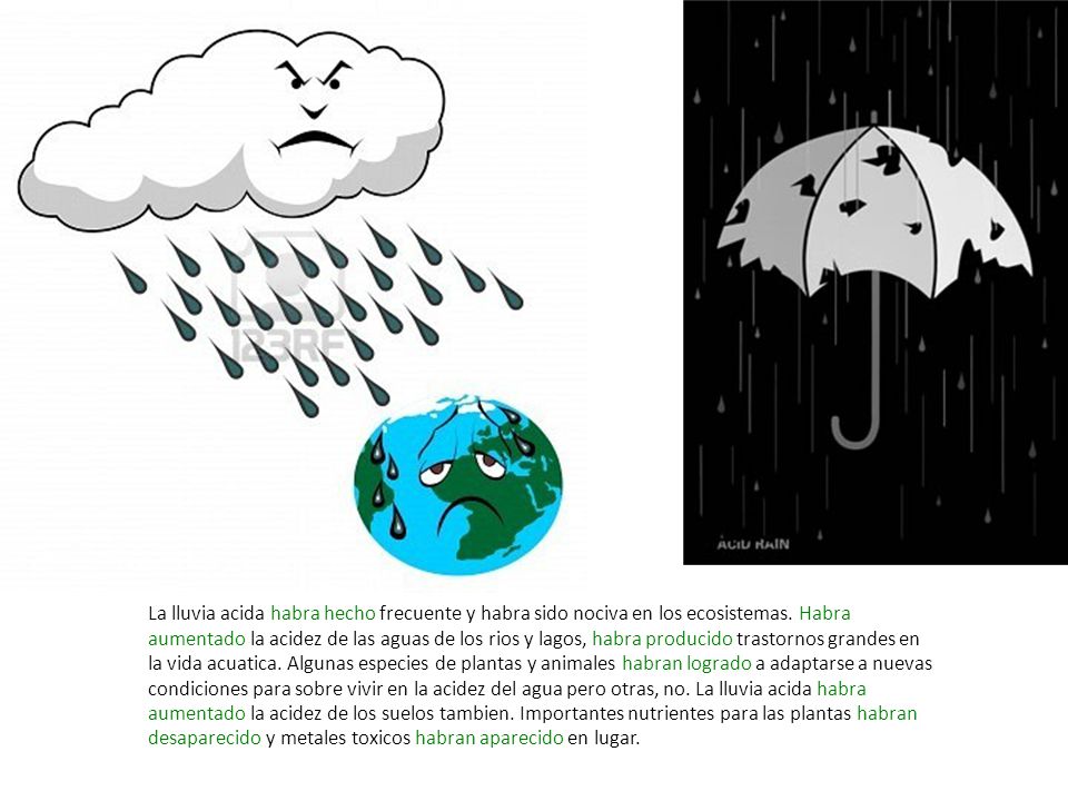 La lluvia acida habra hecho frecuente y habra sido nociva en los ecosistemas.