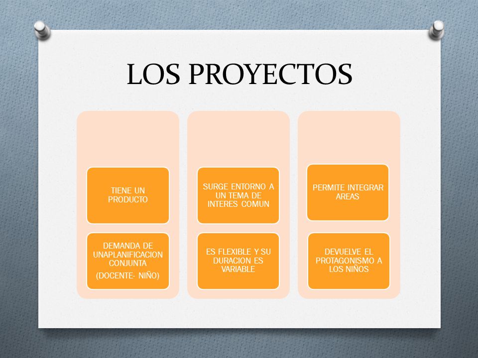 LOS PROYECTOS TIENE UN PRODUCTO DEMANDA DE UNAPLANIFICACION CONJUNTA