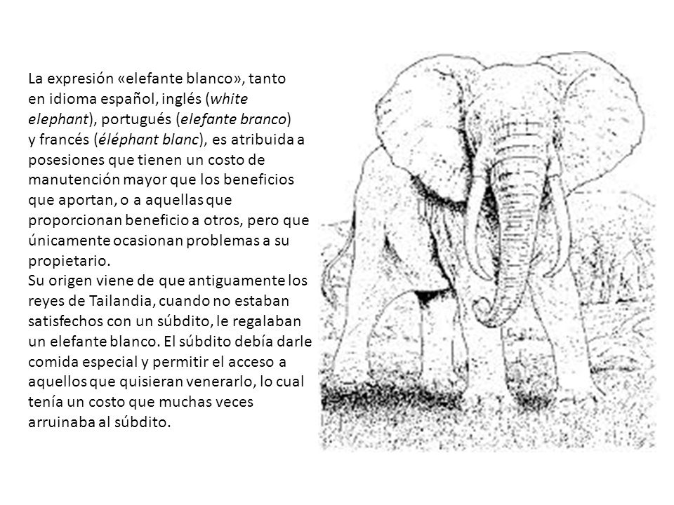 La expresión «elefante blanco», tanto en idioma español, inglés (white elephant), portugués (elefante branco) y francés (éléphant blanc), es atribuida a posesiones que tienen un costo de manutención mayor que los beneficios que aportan, o a aquellas que proporcionan beneficio a otros, pero que únicamente ocasionan problemas a su propietario.