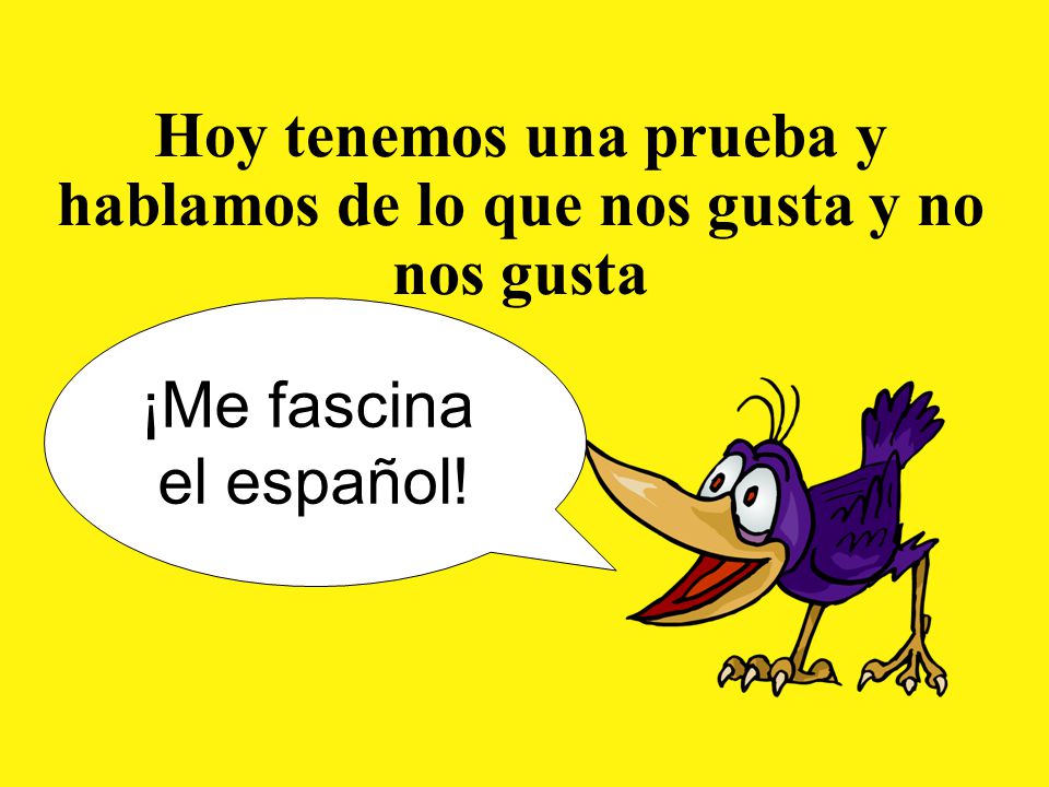 Hoy tenemos una prueba y hablamos de lo que nos gusta y no nos gusta